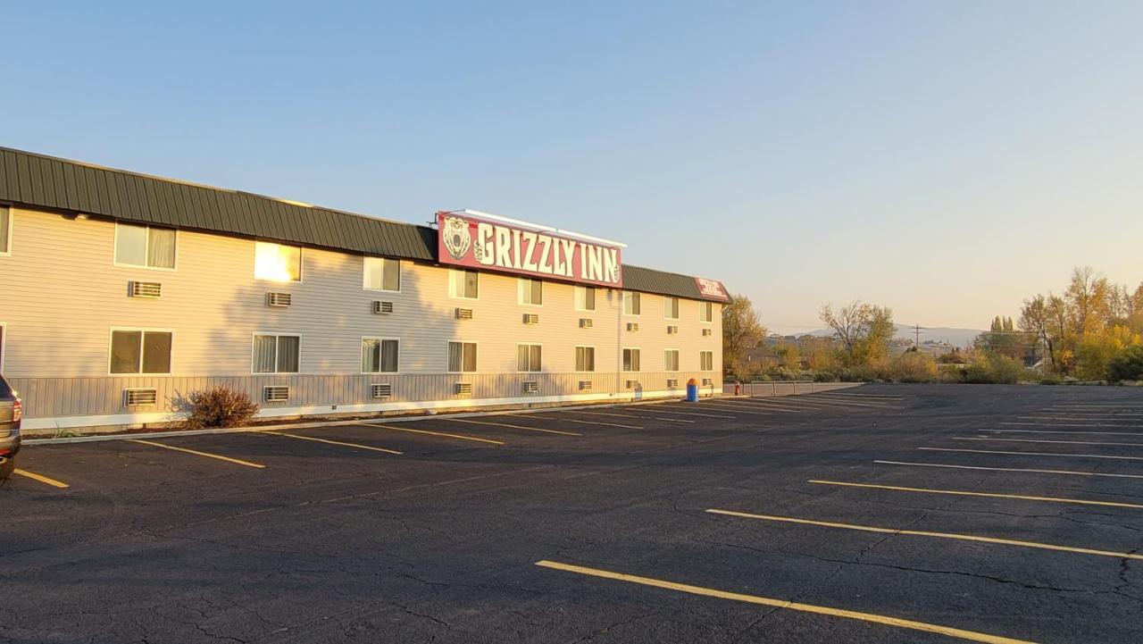 Grizzly Evanston